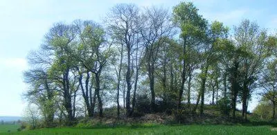 Picture of Tumulus of Saint-Fiacre - Jean Jan - © Creative Commons (https://creativecommons.org/licenses/by-sa/4.0/deed.fr)