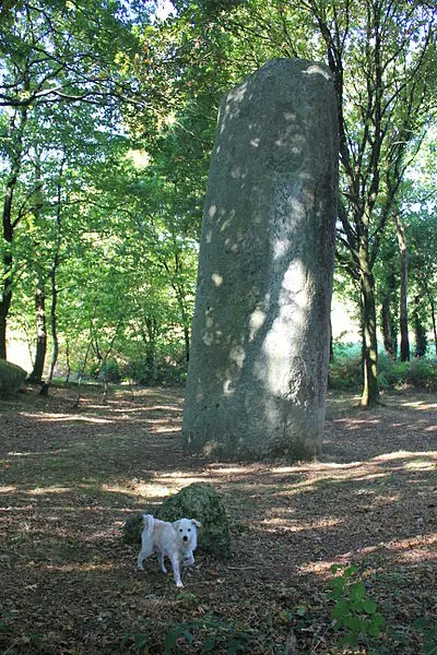 Foto de Menhir dit Men-Bras-de-Cheermar-Berker - XIIIfromTOKYO - © Creative Commons (https://creativecommons.org/licenses/by-sa/4.0/deed.fr)