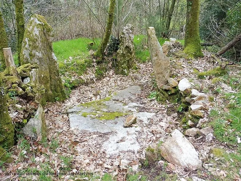 Photo de Dolmen dit Le Tombeau des Martyrs, à Ros - Milca56 - © Creative Commons (https://creativecommons.org/licenses/by-sa/4.0/deed.fr)