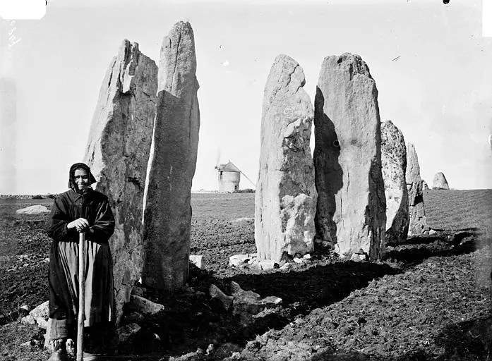 Photo de Alignements du Vieux-Moulin - Zacharie Le Rouzic (1864–1939) Descriptionphotogra - © Creative Commons (https://creativecommons.org/licenses/by-sa/4.0/deed.fr)