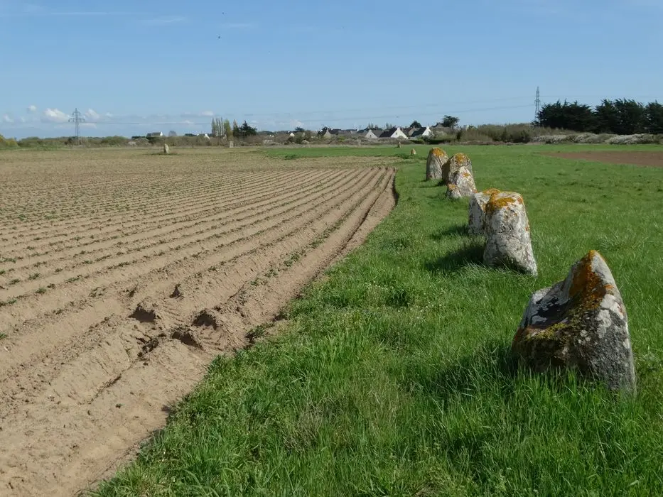 Photo de Tête des alignements de Sainte-Barbe - POP Plateforme Ouverte du Patrimoine / Base Mérimée - © Ministère de la Culture (France), Association Paysages de Mégalithes – Tous droits réservés