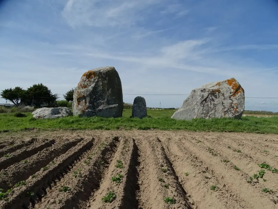 Photo de Tête des alignements de Sainte-Barbe - POP Plateforme Ouverte du Patrimoine / Base Mérimée - © Ministère de la Culture (France), Association Paysages de Mégalithes – Tous droits réservés