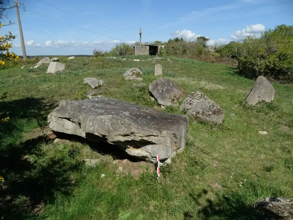 Photo de Dolmen de Mané-Remor - POP Plateforme Ouverte du Patrimoine / Base Mérimée - © Ministère de la Culture (France), Association Paysages de Mégalithes – Tous droits réservés