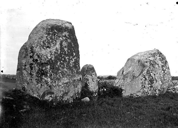 Photo de Vingt-sept menhirs dits de Sainte-Barbe - Zacharie Le Rouzic (1864–1939) Descriptionphotogra - © Creative Commons (https://creativecommons.org/licenses/by-sa/4.0/deed.fr)