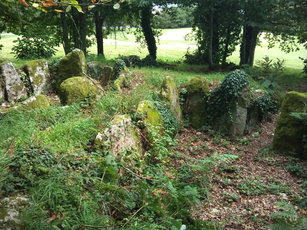 Foto von Zwei -Dolmen -Megalithic Cairn, sagt das Loch der Chouaner - Sous licence Creative Commons (https://creativecommons.org/licenses/by-sa/4.0/deed.fr) - Par Piero~commonswiki - © Creative Commons (https://creativecommons.org/licenses/by-sa/4.0/deed.fr)