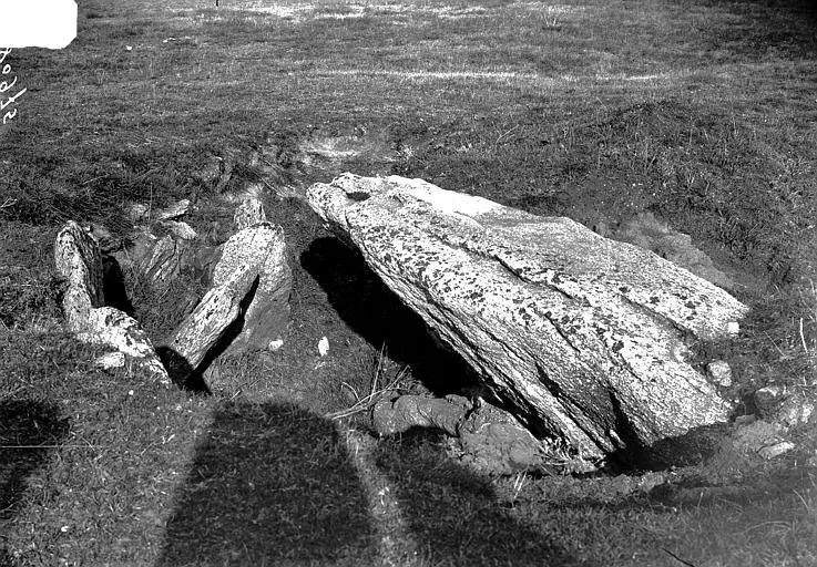 Picture of Conguel Dolmen - POP Plateforme Ouverte du Patrimoine / Base Mérimée - © Ministère de la Culture (France), Médiathèque du patrimoine et de la photographie, diffusion RMN-GP