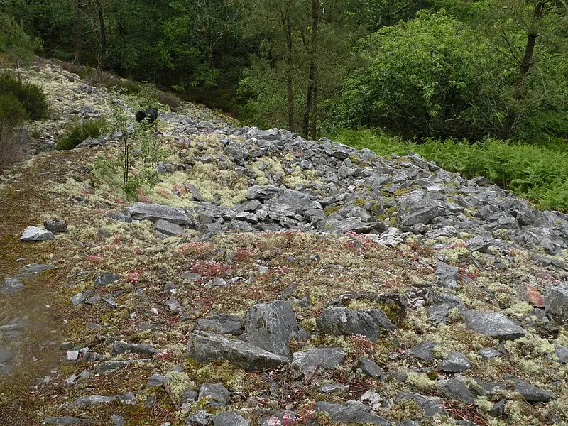 Foto de Campamento protohistórico conocido como Castel-Finans - Pymouss - © Creative Commons (https://creativecommons.org/licenses/by-sa/4.0/deed.fr)