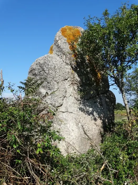 Foto von Menhir de Clos-Et-Bé - POP Plateforme Ouverte du Patrimoine / Base Mérimée - © Ministère de la Culture (France), Association Paysages de Mégalithes – Tous droits réservés