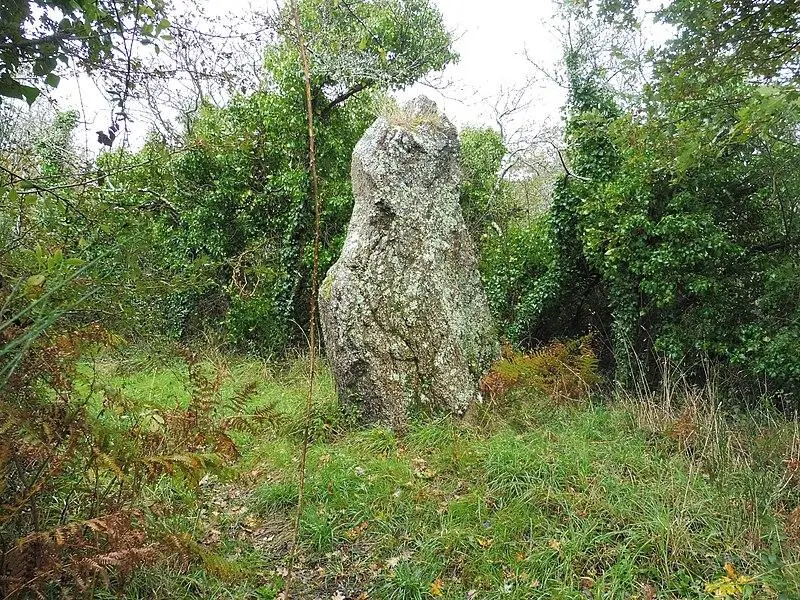 Foto von Menhir dit Men-en-paleud - Milca56 - © Creative Commons (https://creativecommons.org/licenses/by-sa/4.0/deed.fr)