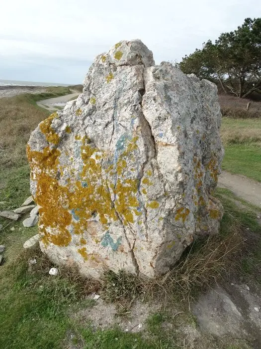Foto von Menhir sagt kercambre gelb - POP Plateforme Ouverte du Patrimoine / Base Mérimée - © Ministère de la Culture (France), Association Paysages de Mégalithes – Tous droits réservés