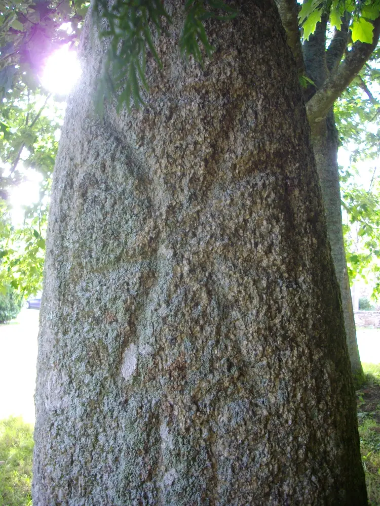 Foto de Monteir menhir - Sous licence Creative Commons (https://creativecommons.org/licenses/by-sa/4.0/deed.fr) - Par Fab5669 - © Creative Commons (https://creativecommons.org/licenses/by-sa/4.0/deed.fr)