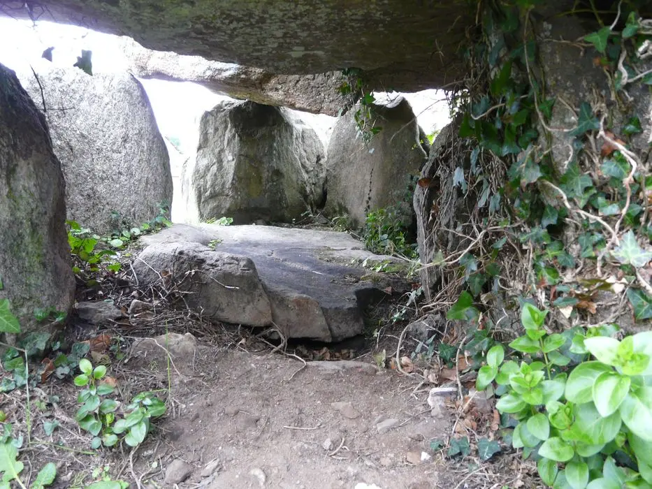 Foto di Dolmen alla galleria dit er-roh - POP Plateforme Ouverte du Patrimoine / Base Mérimée - © Ministère de la Culture (France), Association Paysages de Mégalithes – Tous droits réservés