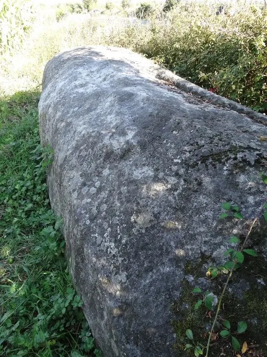 Foto di Menhir, dice fuso o inginocchiato di Jeannette - POP Plateforme Ouverte du Patrimoine / Base Mérimée - © Ministère de la Culture (France), Association Paysages de Mégalithes – Tous droits réservés