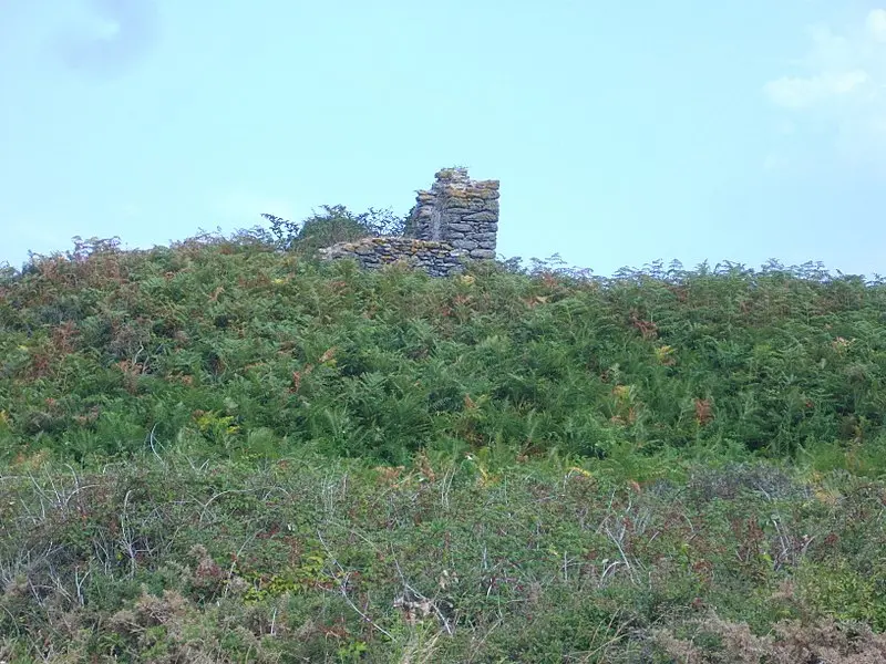 Foto de Tumuli Field, dice Tumuli del páramo de siembra - Fab5669 - © Creative Commons (https://creativecommons.org/licenses/by-sa/4.0/deed.fr)