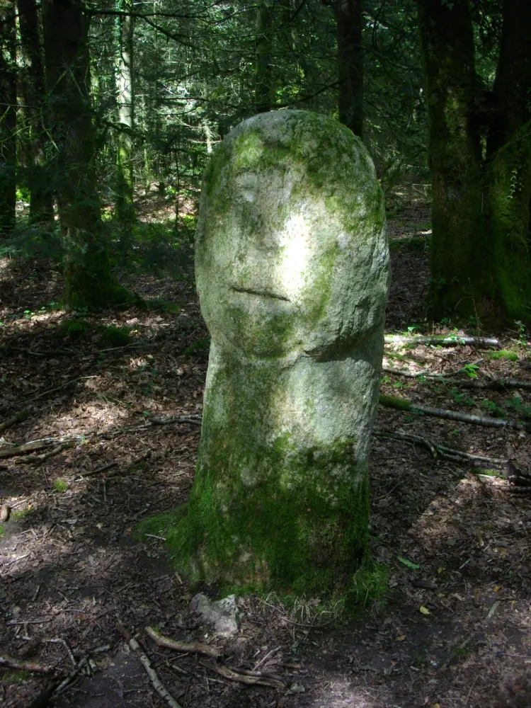 Foto de Menhirs de dos cortes, llamados babuino y babuinos - Sous licence Creative Commons (https://creativecommons.org/licenses/by-sa/4.0/deed.fr) - Par Fab5669 - © Creative Commons (https://creativecommons.org/licenses/by-sa/4.0/deed.fr)