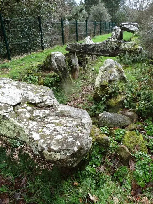 Foto de Callejón cubierto llamado er-roh - POP Plateforme Ouverte du Patrimoine / Base Mérimée - © Ministère de la Culture (France), Association Paysages de Mégalithes – Tous droits réservés