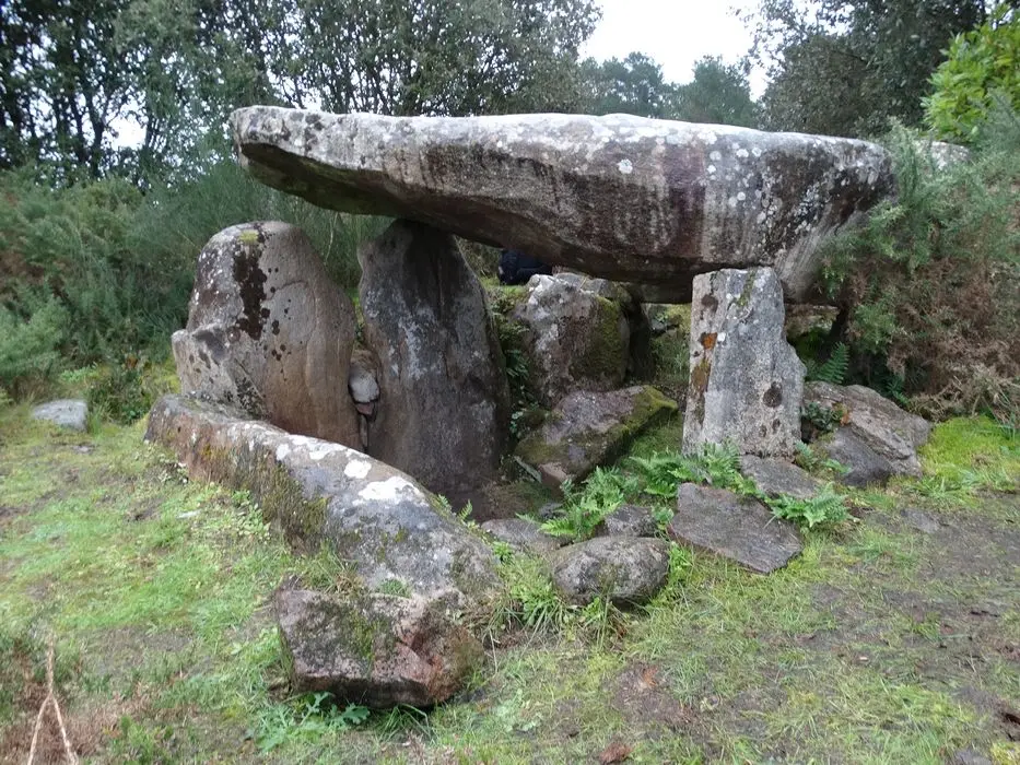 Foto de Dolmen de Mané Rohr - POP Plateforme Ouverte du Patrimoine / Base Mérimée - © Ministère de la Culture (France), Association Paysages de Mégalithes – Tous droits réservés