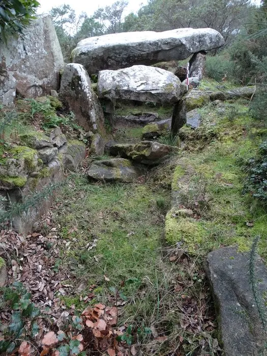 Foto de Dolmen de Mané Rohr - POP Plateforme Ouverte du Patrimoine / Base Mérimée - © Ministère de la Culture (France), Association Paysages de Mégalithes – Tous droits réservés