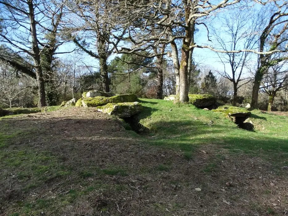 Foto de Tres dolmens en Galerie de Mané-Kervilor - POP Plateforme Ouverte du Patrimoine / Base Mérimée - © Ministère de la Culture (France), Association Paysages de Mégalithes – Tous droits réservés