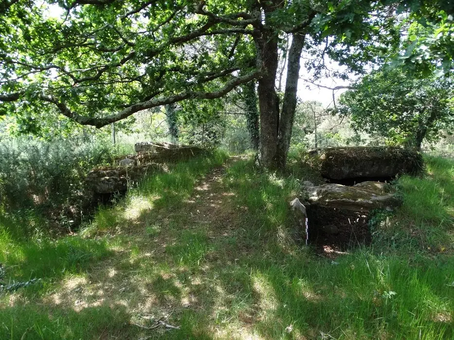Foto de Tres dolmens en Galerie de Mané-Kervilor - POP Plateforme Ouverte du Patrimoine / Base Mérimée - © Ministère de la Culture (France), Association Paysages de Mégalithes – Tous droits réservés