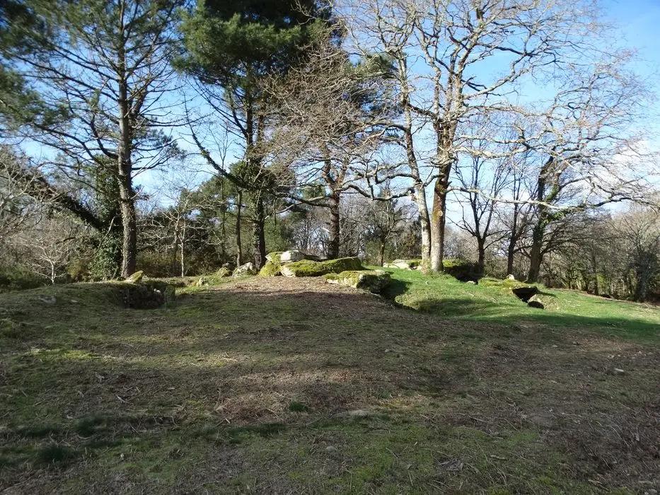 Foto de Tres dolmens en Galerie de Mané-Kervilor - POP Plateforme Ouverte du Patrimoine / Base Mérimée - © Ministère de la Culture (France), Association Paysages de Mégalithes – Tous droits réservés