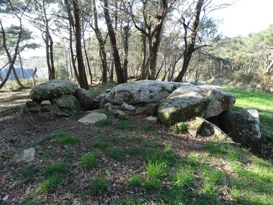 Foto de Dolmen bajo túmulo de Kermarker - POP Plateforme Ouverte du Patrimoine / Base Mérimée - © Ministère de la Culture (France), Association Paysages de Mégalithes – Tous droits réservés
