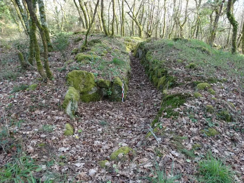 Foto de Habitaciones de cubierta de montículo artificial conectadas por galerías - POP Plateforme Ouverte du Patrimoine / Base Mérimée - © Ministère de la Culture (France), Association Paysages de Mégalithes – Tous droits réservés