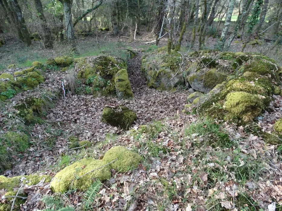 Foto de Habitaciones de cubierta de montículo artificial conectadas por galerías - POP Plateforme Ouverte du Patrimoine / Base Mérimée - © Ministère de la Culture (France), Association Paysages de Mégalithes – Tous droits réservés
