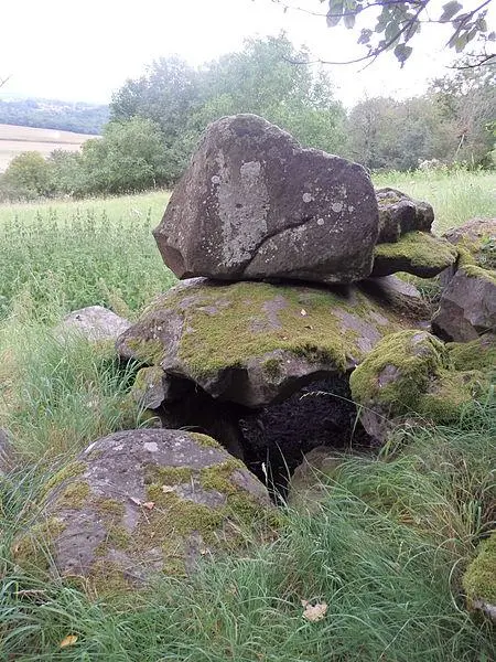 Foto von Dolmen aus Loubaresse - Record - © Creative Commons (https://creativecommons.org/licenses/by-sa/4.0/deed.fr)