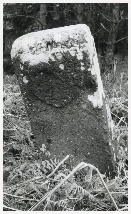 Photo de Borne armoriée (également sur commune de Saint-Sulpice) - POP Plateforme Ouverte du Patrimoine / Base Mérimée - © Ministère de la Culture (France), Médiathèque du patrimoine et de la photographie, Tous droits réservés 