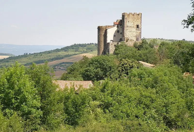 Foto di Rovine del castello fortificato - Torsade de Pointes - © Creative Commons (https://creativecommons.org/licenses/by-sa/4.0/deed.fr)
