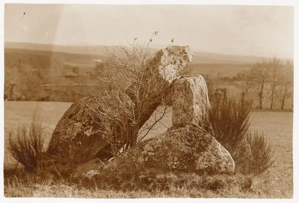 Foto von FARGES DOLMEN - POP Plateforme Ouverte du Patrimoine / Base Mérimée - © Ministère de la Culture (France), Médiathèque du patrimoine et de la photographie, Tous droits réservés