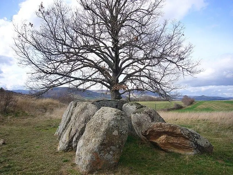 Foto de Dolmen dice el Ustau del lobo o la cueva de las hadas - Record - © Creative Commons (https://creativecommons.org/licenses/by-sa/4.0/deed.fr)