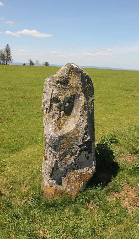 Foto von Menhir sagt Stein der vier Priester - Sous licence Creative Commons (https://creativecommons.org/licenses/by-sa/4.0/deed.fr) - Par Nico207 - © Creative Commons (https://creativecommons.org/licenses/by-sa/4.0/deed.fr)