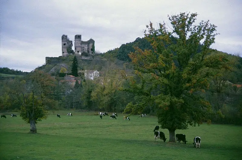 Picture of Ruins of the fortified castle - Ziegler175 - © Creative Commons (https://creativecommons.org/licenses/by-sa/4.0/deed.fr)