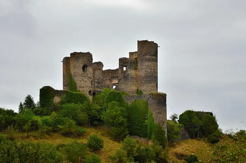 Picture of Ruins of the fortified castle - Spielvogel - © Creative Commons (https://creativecommons.org/licenses/by-sa/4.0/deed.fr)