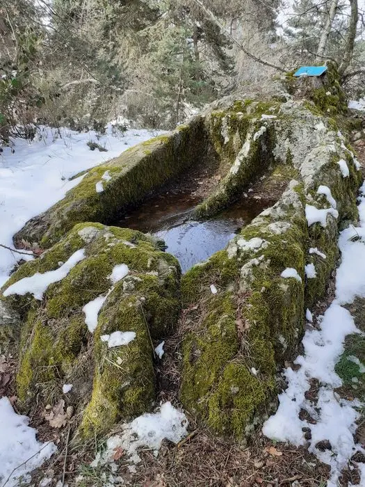 Picture of Dolmen - POP Plateforme Ouverte du Patrimoine / Base Mérimée - © Ministère de la Culture (France), Direction Régionale des Affaires Culturelles d'Auvergne-Rhône-Alpes – Tous droits réservés 