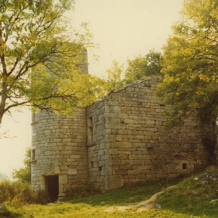 Picture of Mazonric Manor - POP Plateforme Ouverte du Patrimoine / Base Mérimée - © Ministère de la Culture (France), Médiathèque du patrimoine et de la photographie, tous droits réservés