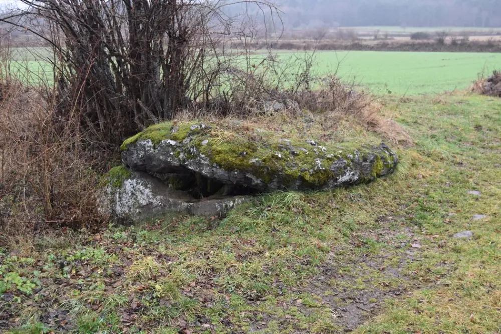 Picture of Dolmen of Seneujols or Gargantua Palet - POP Plateforme Ouverte du Patrimoine / Base Mérimée - © Ministère de la Culture (France), Médiathèque du patrimoine et de la photographie, diffusion RMN-GP