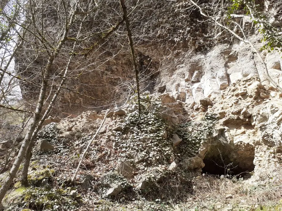 Picture of Prehistoric habitat under shelter of beating - POP Plateforme Ouverte du Patrimoine / Base Mérimée - © Ministère de la Culture (France), Direction Régionale des Affaires Culturelles d'Auvergne-Rhône-Alpes – Tous droits réservés 