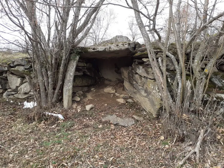 Foto von Dolmen von Fangern - POP Plateforme Ouverte du Patrimoine / Base Mérimée - © Ministère de la Culture (France), Direction Régionale des Affaires Culturelles d'Auvergne-Rhône-Alpes – Tous droits réservés 