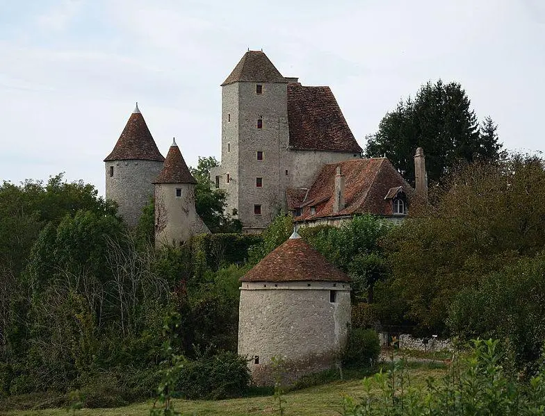 Foto von Puyfol Castle - Patrick Boyer - © Creative Commons (https://creativecommons.org/licenses/by-sa/4.0/deed.fr)