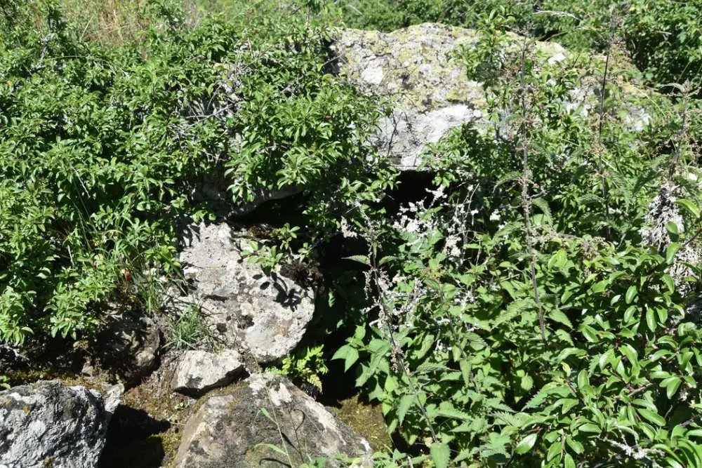 Picture of Dolmen of Bardon or Pierre Chabrée - POP Plateforme Ouverte du Patrimoine / Base Mérimée - © Ministère de la Culture (France), Médiathèque du patrimoine et de la photographie, diffusion RMN-GP