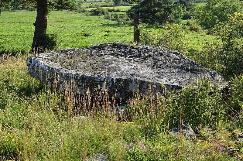 Picture of Dolmen - Olivier1105 - © Creative Commons (https://creativecommons.org/licenses/by-sa/4.0/deed.fr)