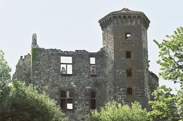 Picture of Ruins of the Château Fort de Branzac - Heurtelions - © Creative Commons (https://creativecommons.org/licenses/by-sa/4.0/deed.fr)