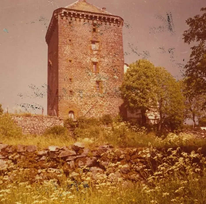 Picture of Leybros Fort Castle - POP Plateforme Ouverte du Patrimoine / Base Mérimée - © Ministère de la Culture (France), Médiathèque du patrimoine et de la photographie, tous droits réservés