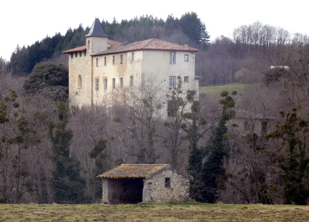 Foto de Castillo - Sous licence Creative Commons (https://creativecommons.org/licenses/by-sa/4.0/deed.fr) - Par Sergio09200 - © Creative Commons (https://creativecommons.org/licenses/by-sa/4.0/deed.fr)