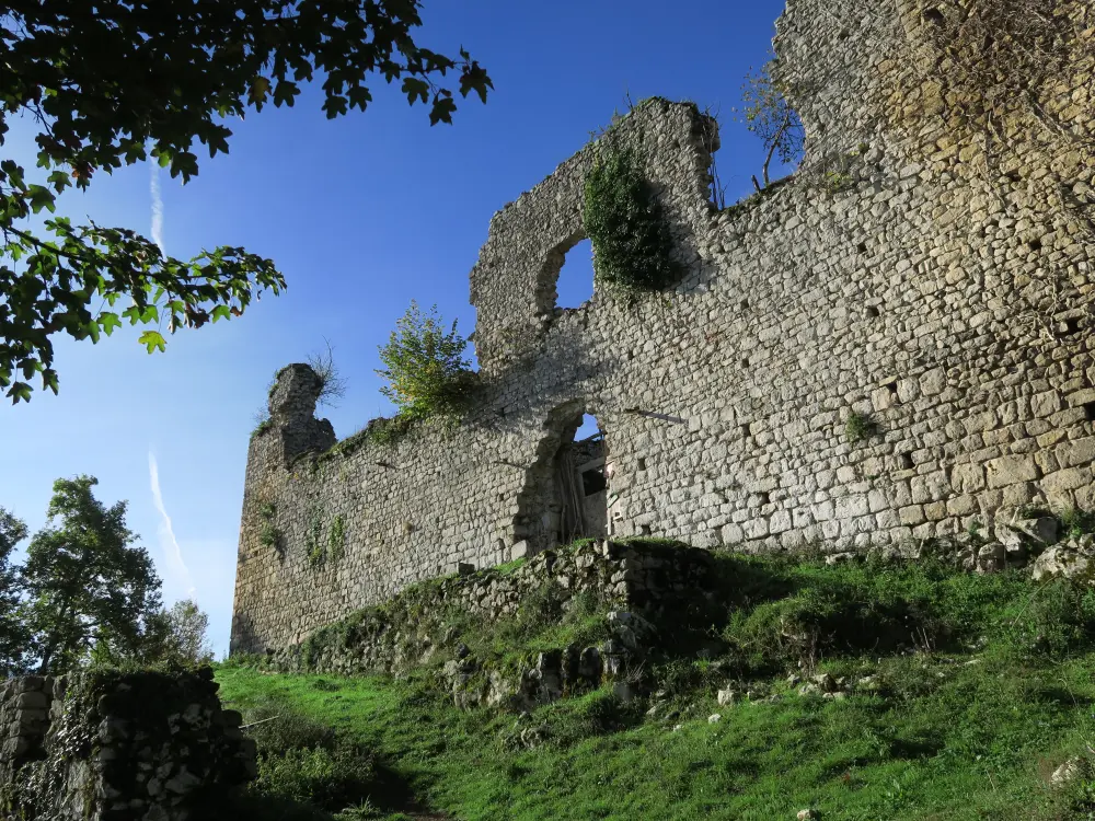 Foto von Schloss - Sous licence Creative Commons (https://creativecommons.org/licenses/by-sa/4.0/deed.fr) - Par Olybrius - © Creative Commons (https://creativecommons.org/licenses/by-sa/4.0/deed.fr)
