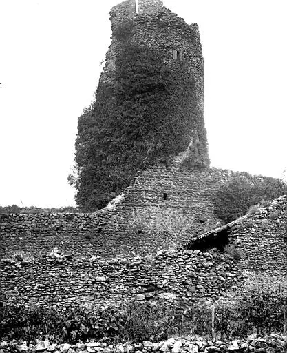 Picture of Ruins of the castle - POP Plateforme Ouverte du Patrimoine / Base Mérimée - © Ministère de la Culture (France), Médiathèque du patrimoine et de la photographie, diffusion RMN-GP