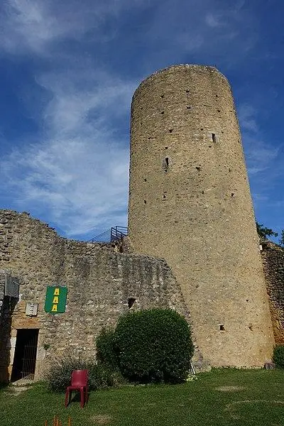 Picture of Ruins of the castle - Sylenius - © Creative Commons (https://creativecommons.org/licenses/by-sa/4.0/deed.fr)